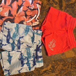 Carter's Red Dino and Blue Shark Shorts Set